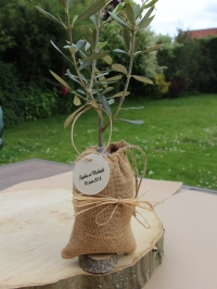 Offrir un arbre à planter, Cadeau personnalisé